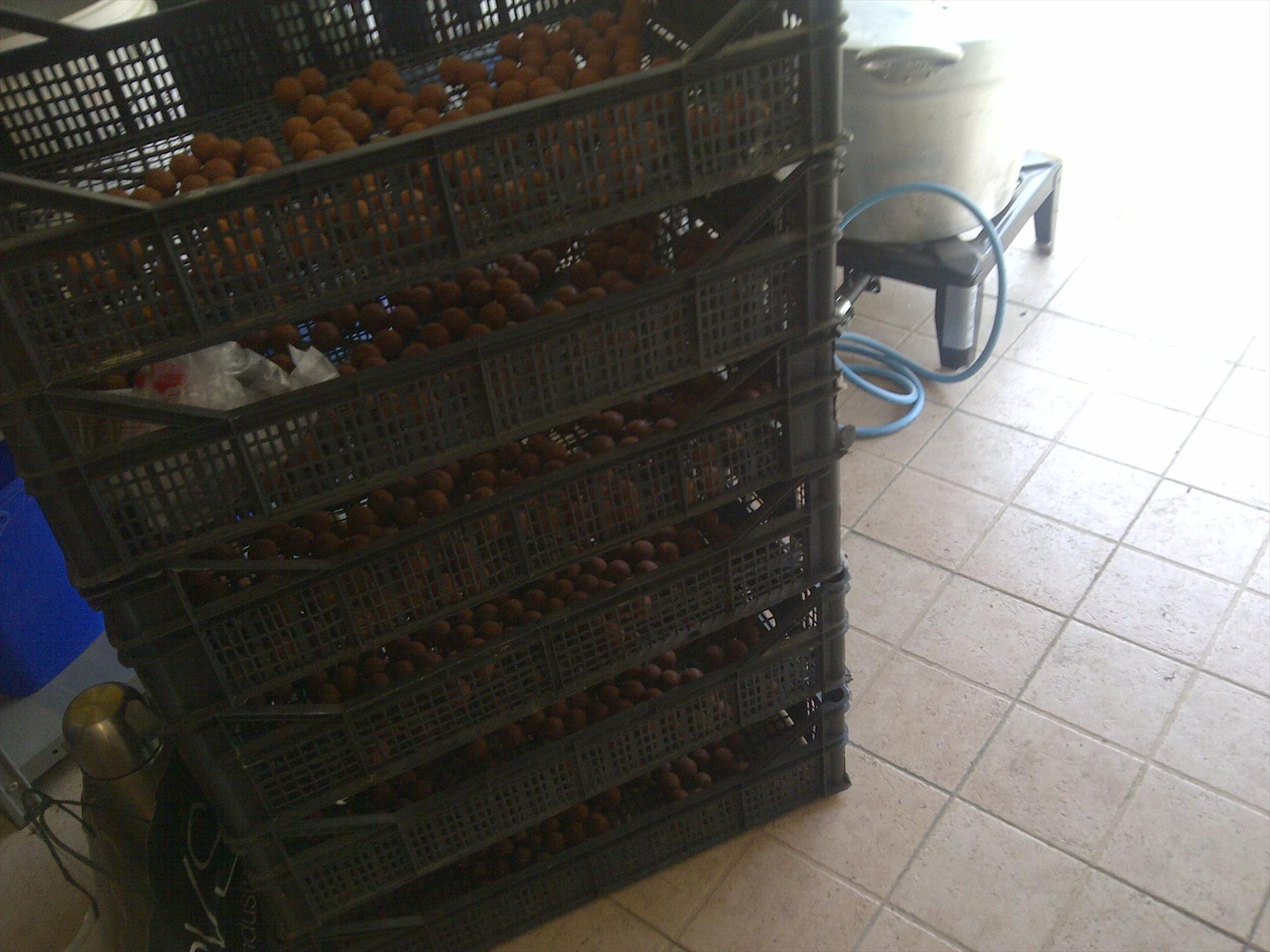 diverse - img-20130304-00243.jpg